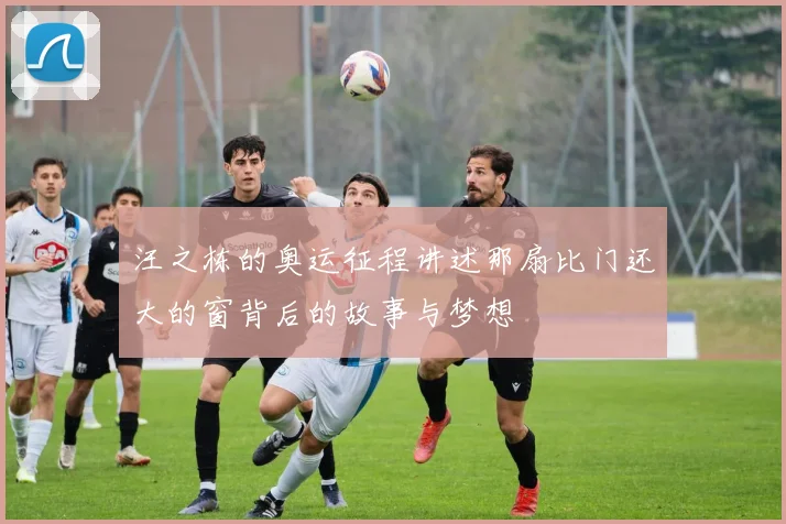 汪之栋的奥运征程讲述那扇比门还大的窗背后的故事与梦想