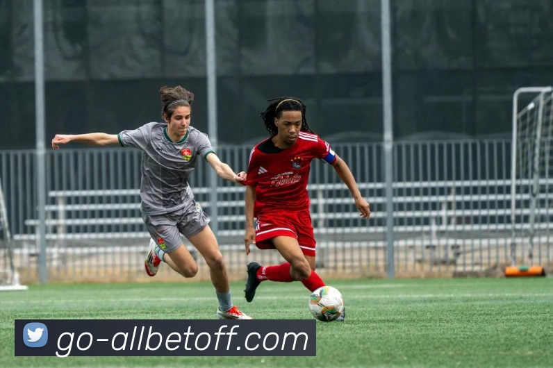 欧博2026入口品牌故事