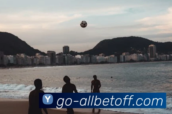 欧博2026入口服务体系